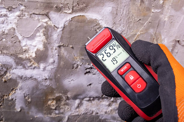 Best Mold Remediation for Specific Building Types in Corunna, MI