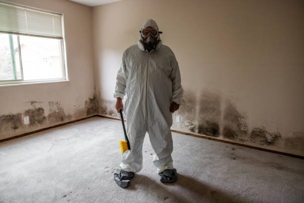 Best Mold Testing and Inspection Services in Corunna, MI